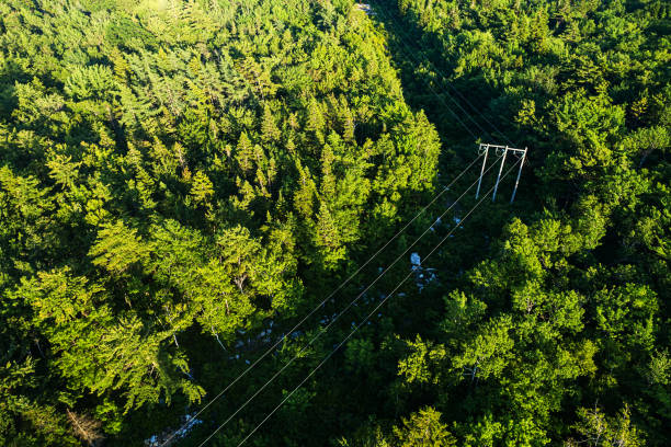Aerial drone view of a powerline running through forest.