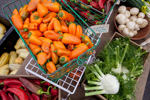 Fall / Winter Farmer's Market Stand near shops