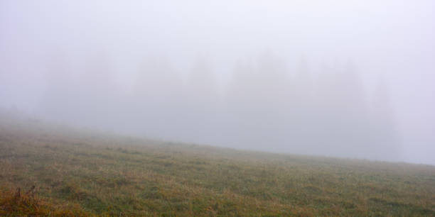 istock foggy autumn scenery in the morning 1406846128