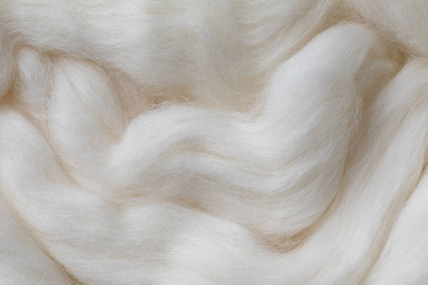 White wool texture as background. stock photo