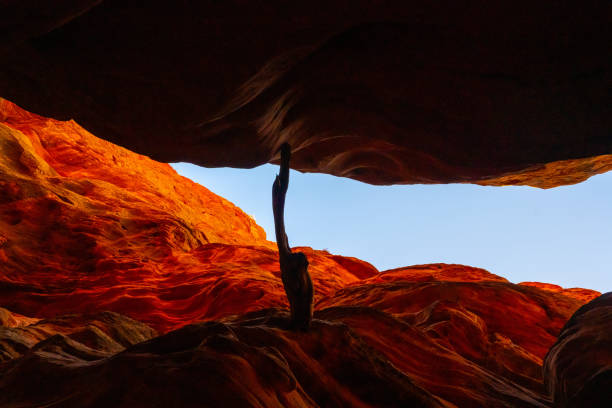 View upwards on a hike inside Buckskin Gulch, the worlds deepest slot canyon. Located in-between the cities of Page and Kanab on the Utah, Arizona border in the southwest USA.