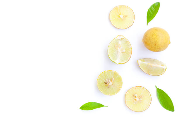 istock Lemon fruit and Lemon slices with green leaves on white background 1406853251