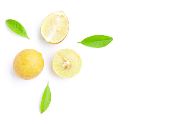 istock Lemon fruit and Lemon slices with green leaves on white background 1406853253