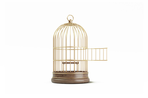 Birdcage sitting on white background. Horizontal composition with copy space. Front view. Clipping path is included.