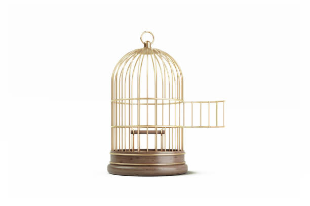 Birdcage Sitting On White Background Birdcage sitting on white background. Horizontal composition with copy space. Front view. Clipping path is included. birdcage stock pictures, royalty-free photos & images