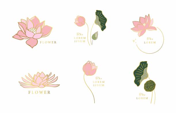 ilustrações de stock, clip art, desenhos animados e ícones de gold lotus flower outline.vector illustration for icon,sticker,printable and tattoo - circle nature botany bud