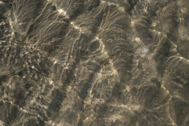 istock Ripple on a shallow sunlit sea 1406856189