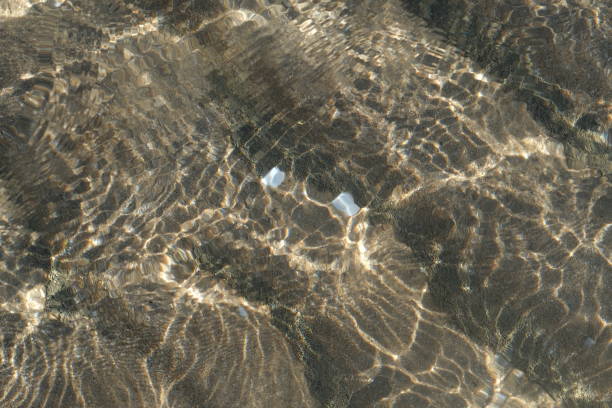 A close-up view of a shallow sunlit sea, with sandbed visible through a shining refractive ripples