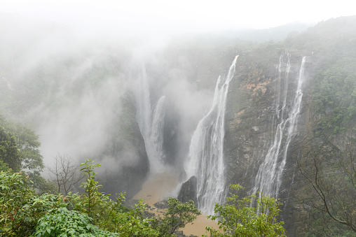 Mist and lush green around Jog waterfalls in Karnataka in south India