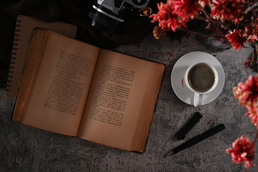Open vintage book, coffee cup, camera and flower pot on dark stone background.