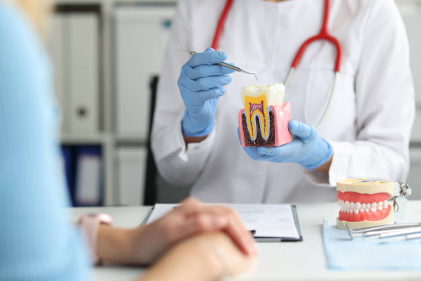 istock Dentist shows caries on artificial tooth and methods of treatment to patient 1406861799