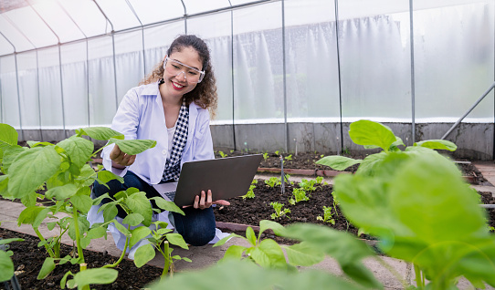Portrait of happy agricultural engineer asian woman working in greenhouse organic farm, startup small business sme owner. Young scientists examined the quality of vegetable plant.