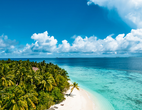 Naturaleza exótica y paisajes de islas tropicales con palmeras y un pacífico océano azul photo