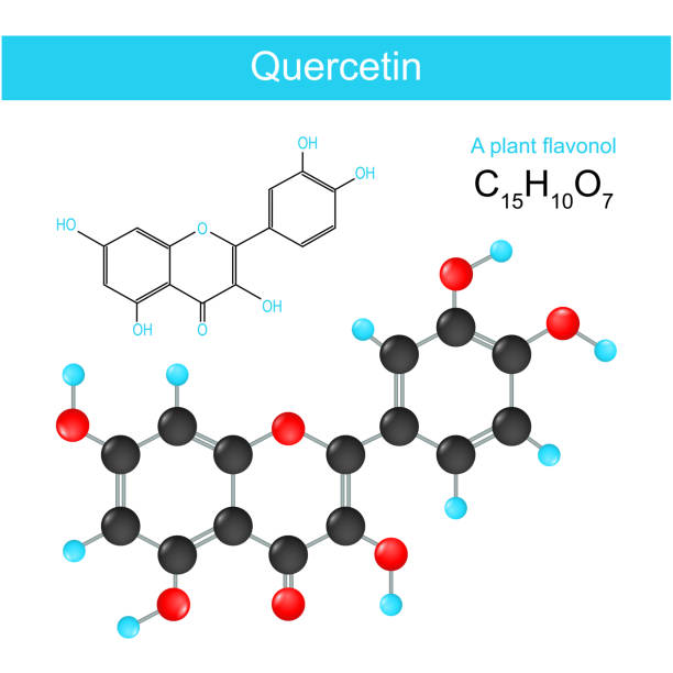 ilustrações, clipart, desenhos animados e ícones de quercetina. fórmula química estrutural - quercetin