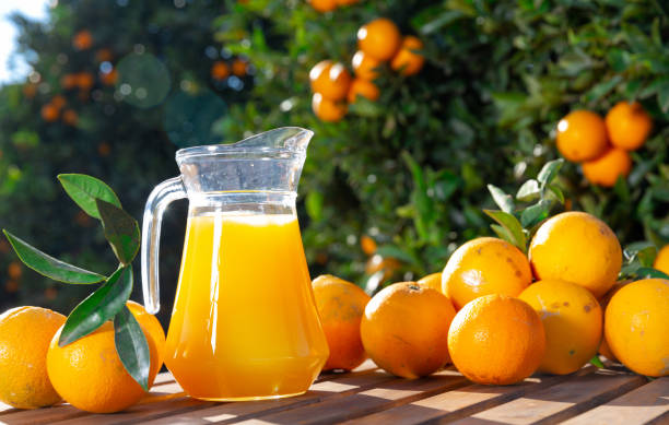 Fresh orange juice with fruits on wooden table with ripe oranges on trees on background