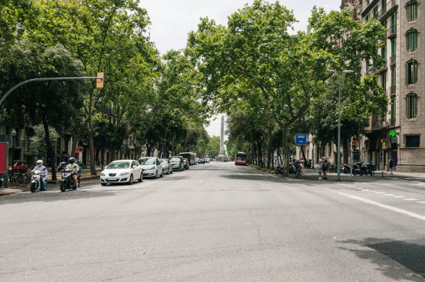 istock Avenue with trees in Barcelona 1406868711