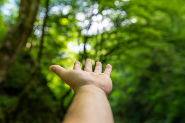 Woman hands place together like praying in front of nature green  background.