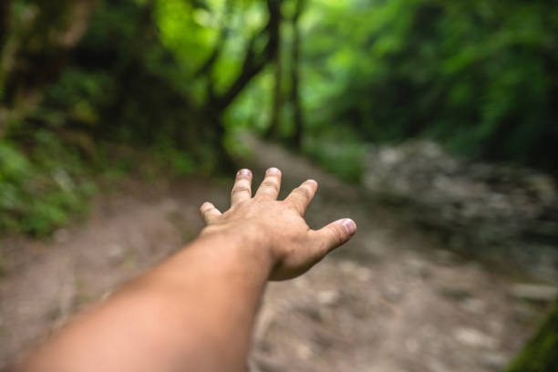 istock A man's hand reaches out to the forest, palm down 1406869047