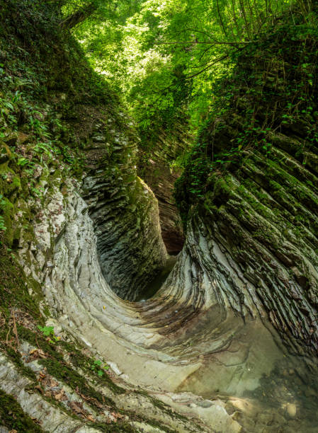 istock Canyon made by water stream in the mountains 1406869352