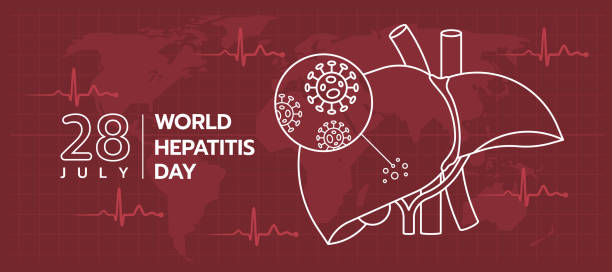 world hepatitis day - hands white line liver with withcell inflammation zoom in circle on red brown map world texture background vector design world hepatitis day - hands white line liver with withcell inflammation zoom in circle on red brown map world texture background vector design hepatitis stock illustrations