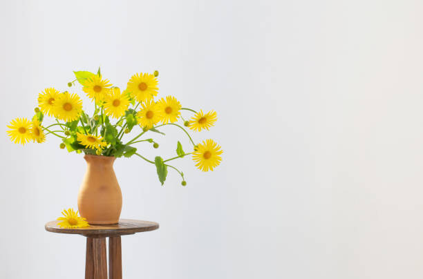 istock yellow spring flowers in  vase on white background 1406872164