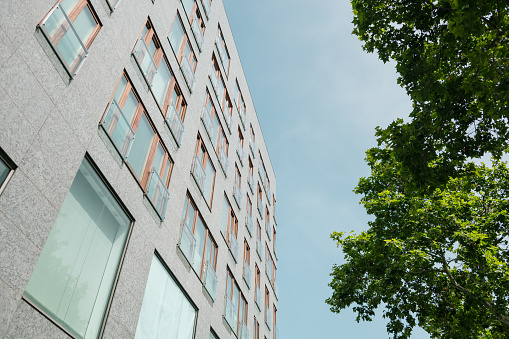 A modern building facade next to a tree - low angle view