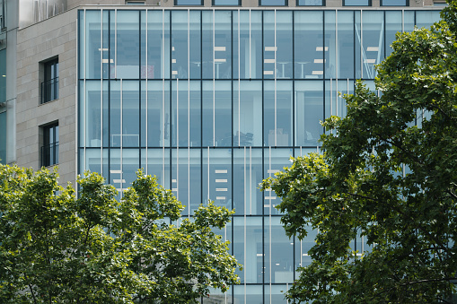 Modern office building facade and trees