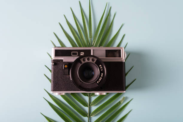 istock Palm leaves and old photo camera isolated on blue background. 1406873733