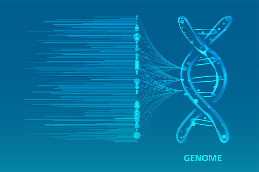 Big genomic data visualization. DNA test, genom map. Graphic concept for your design