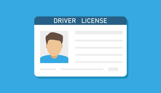 illustrations, cliparts, dessins animés et icônes de permis de conduire. sécurité des données personnelles. conception de modèle de carte d’identité. illustration vectorielle. image de stock. - id card