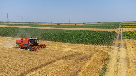 Aerial top view of the agricultural harvester, combine as cutting and harvesting mature wheat on farm fields.