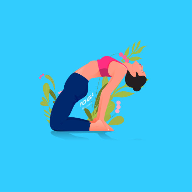 Detailed vector illustration of woman practicing yoga .   Ustrasana camel pose. Slim girl is practicing yoga ,Yoga templete and for some background of GYM. ustrasana stock illustrations