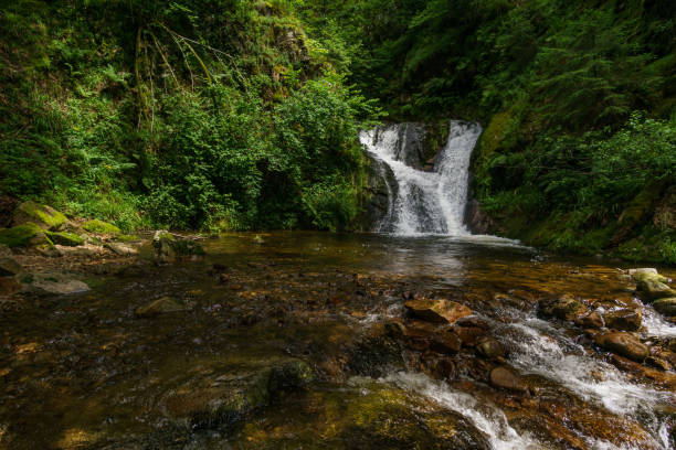 Allerheiligen Waterfalls in the Black Forest, Allerheiligen, Germany