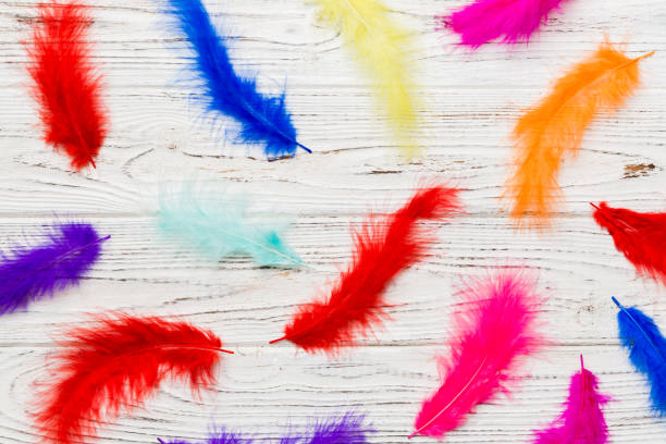 istock Close up to bright colorful feathers background. Colored feather background, top view 1406881145