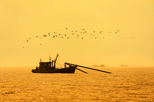 A group of people are fishing off the back of a boat in the Maldives on a traditional Maldivian Dhoni at sunset