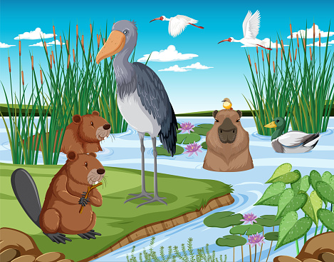 Forest scene with wild animals illustration