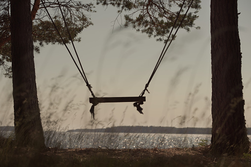 Children's swing hanging from trees. Coast of the lake. No people