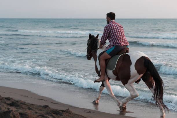 współczesny mężczyzna w letnich ubraniach lubi jeździć konno po pięknej piaszczystej plaży o zachodzie słońca. selektywne ustawianie ostrości - cowboy horseback riding nature blue zdjęcia i obrazy z banku zdjęć