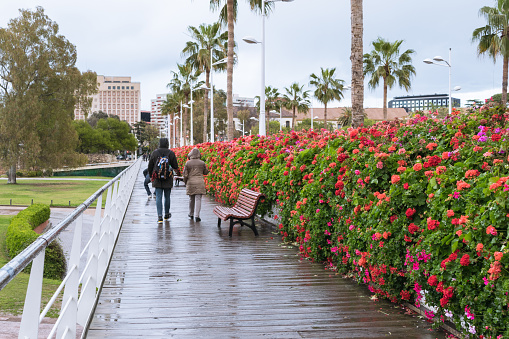 Bridge of Flowers in Valencia, Spain. it crosses the turia gardens. Valencia - Spain