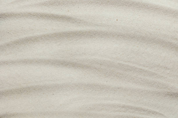 istock Background of light beach sand with shifted focus 1406892934