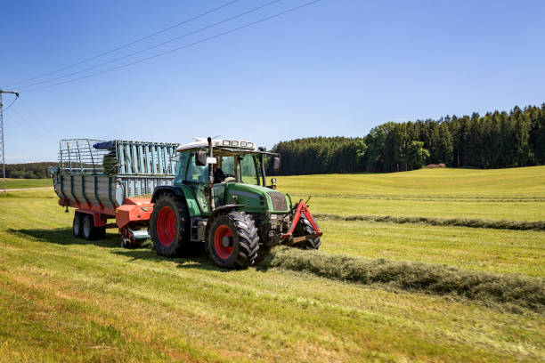 動物飼料の準備 - silage field hay cultivated land ストックフォトと画像