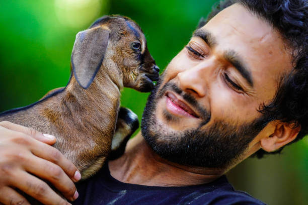 istock boy with cute baby goat pet animal 1406896083