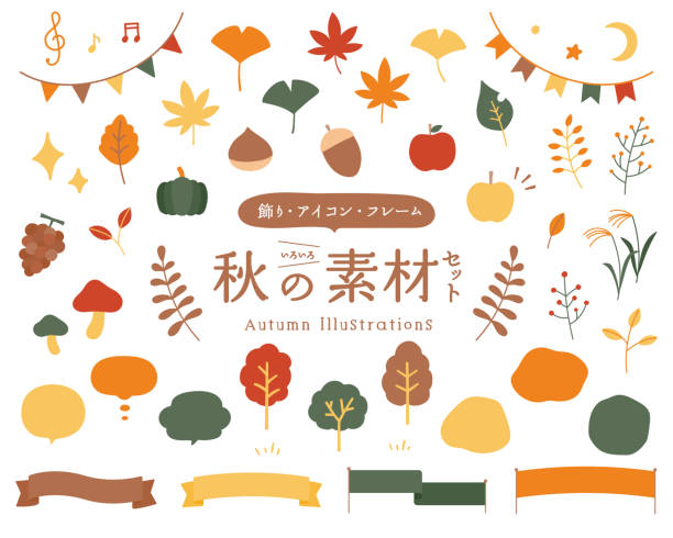 ilustraciones, imágenes clip art, dibujos animados e iconos de stock de un conjunto de ilustraciones de otoño (decoraciones, iconos, marcos). - ginkgo tree ginkgo tree japan