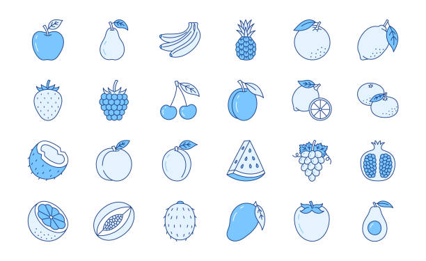 иллюстрация фруктово-ягодного каракуля, включающая иконки - клубника, яблоко, ананас, малина, гранат, авокадо, кокос. тонкие линии искусства  - georgia peach stock illustrations