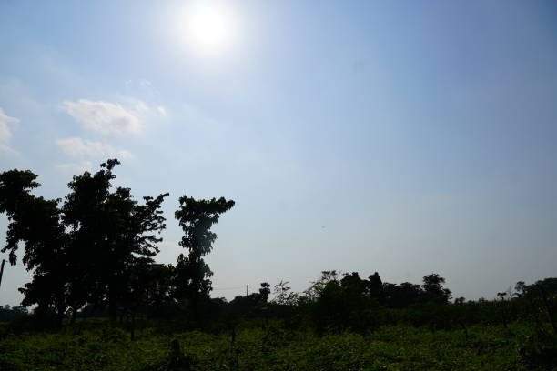 istock view of bihar image hd. 1406900530