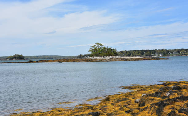 Small Island in Casco Bay in Maine Small rugged island in Casco Bay in Maine in the Spring. casco bay stock pictures, royalty-free photos & images