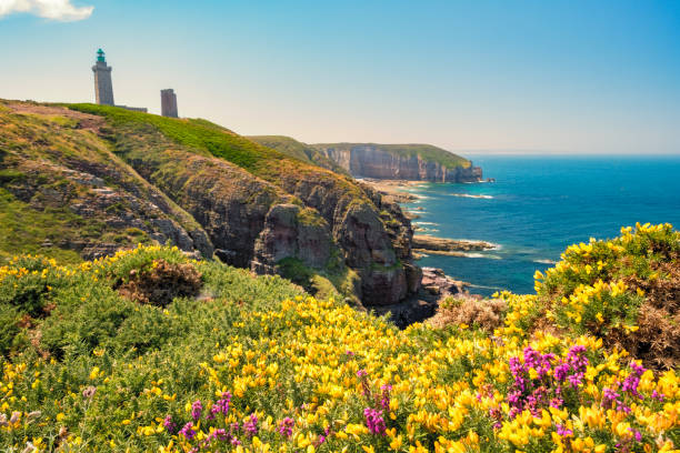 Cap Frehel cliffs with yellow gorse and violet heather flowers and lighthouse. Brittany, France stock photo