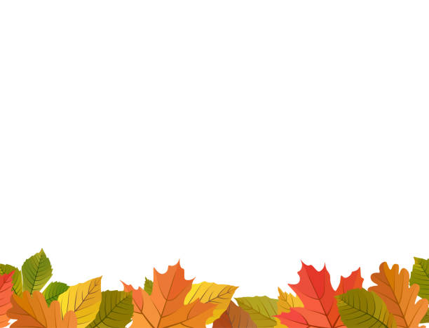 가을 잎 배경 벡터 만화 일러스트레이션. 노란색, 녹색, 빨간색, 흰색 배경에 주황색 가을 잎 카드 템플릿 - chestnut tree leaf tree white background stock illustrations