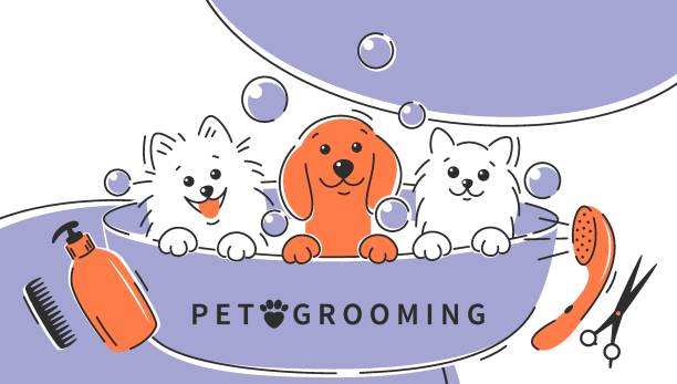 Grooming 29 Pet grooming. Cartoon dogs and cat taking a bath full of soapy suds. Animal hair grooming, haircuts, bathing, hygiene. Vector illustration pomeranian dog taking a bath stock illustrations