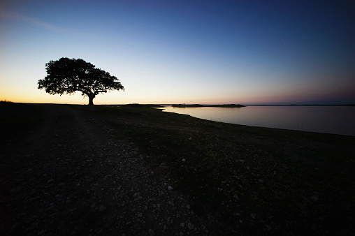 Photo of a landscape at nightfall in the Alentejo district in the South of Portugal.